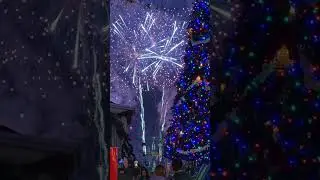 Happily Ever After Disney Fireworks with Christmas tree is magical!