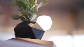 Magnetic Levitation Tech! PandaLane Levitating Hexagonal Potted Plant Ornament Review.
