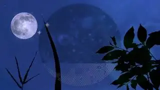 ASMR Summer Night Crickets | Relaxing Insect Sounds for Deep Sleep, Stress Relief & Mental Calmness