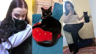 saying goodbye is the hardest thing 🐈‍⬛ losing genevieve & dealing with pet loss