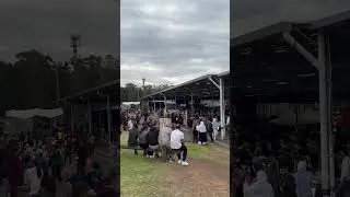 Mango Festival Sydney 🥭