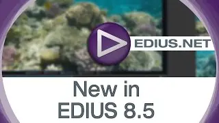 EDIUS.NET подкаст - новые возможности в EDIUS 8.5