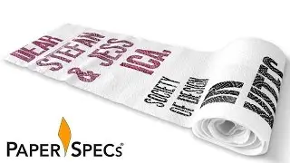PaperSpecs.com | Paper Inspiration #287: Dear Stefan and Jessica