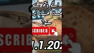 Olta hath sa khana khana kesa hai ? Answer Mufti Abdul Ghani Sheikh Official