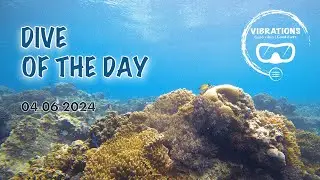 Diving Siquijor - siblings underwater