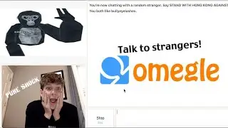 Omegle but I'm in Gorilla Tag