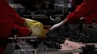 Romania rising as New World of wine in 'old' Europe