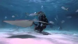 Scuba Diving, Grand Cayman | Cayman Islands Sotheby's International Realty