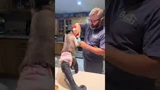 Вкусные угощения