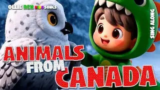 Animals from Canada for Kids | Grizzly, Moose, Wolf & More!