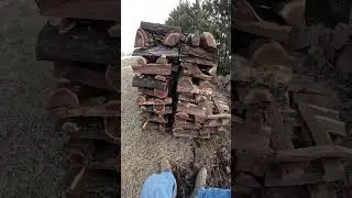 Escaping the Matrix By Wood🪵Chase your dreams. #lumberjacks #shorts #viral #firewood #913 #matrix