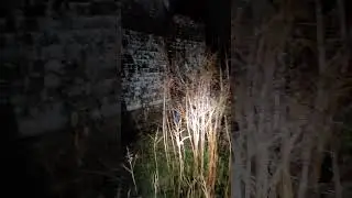 Abandoned house at night #abandonedhouse #urbex #night #hauntedhouse #explorer #creepy #ghosthunter