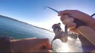 bottom fishing for rock bass