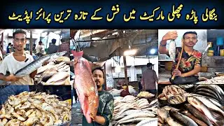 Fish Price At Bangali Para Fish Market Karachi|Mini Bangladesh Karachi Fish Market|Fish Price Krachi