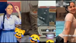 Bagad Billa funny video 😂\\😹 Bagad BILLA funny reels 😂\\ Ankit .Ang Funny Cat Video \\#comedy