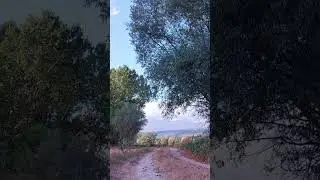 Country road with relaxing sounds of crickets