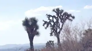 Amazing TANKY DRONE