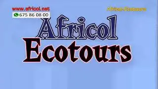 Visite du mus&eacute;e de Bafou et t&eacute;moignages cours d'anglais avec Africol.