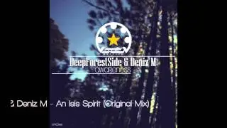 DeepForestSide & Deniz M - An Isis Spirit (Original Mix)