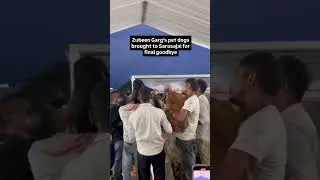 Zubeen Garg&rsquo;s pet dogs brought to Sarusajai for final goodbye | GPlus