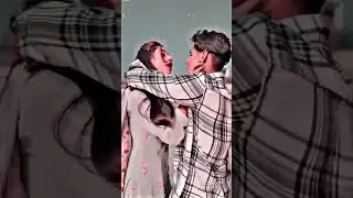 love birds for couples