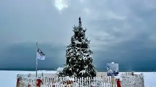 MUST SEE LONG BEACH SNOW 