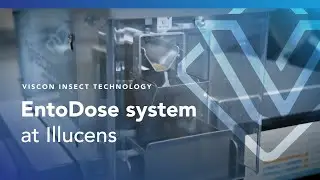 Viscon Insect Technology - EntoDose at Illucens