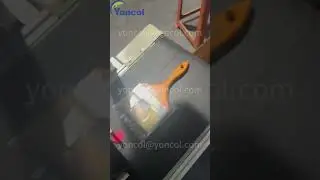 Paint Brush Packaging Machine with Pad Printing and Labeling