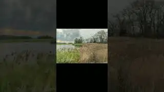 forest ai editing #Ai  #fugly #fuggly #edit