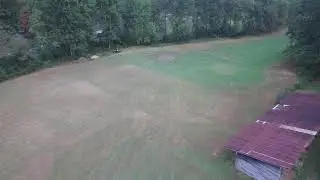 Tiger GA (1) September 2019