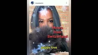 Italian actor girls who has a puppy #michelemorrone #gossip #gossipitaliano #italy #youtubeshorts
