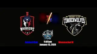 MLK 24 Texas Warriors vs Hoffman Estates Timberwolves