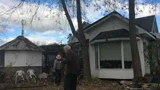 Cutting Down A Big Maple Tree