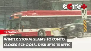 Winter Storm Slams Toronto, Closes Schools, Disrupts Traffic