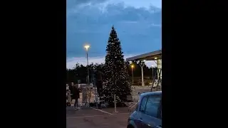 Tesco puts up huge Christmas tree in AUGUST