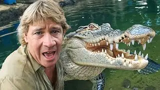 Esses 3 Aventureiros FAMOSOS Foram MORTOS Pelos Animais Que TANTO Admiravam | MARATONA !