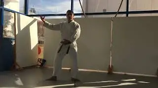 Aikido Movements, Ki exercises, Sayu choyaku Undo