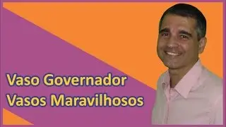 Vasos Maravilhosos - Vaso Governador