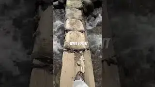 Tosh Village Magic ✨🏔️ | Hidden Himalayan Bliss