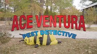 Ace Ventura: Pest Detective  // Go-Forth Home Services Parody Video