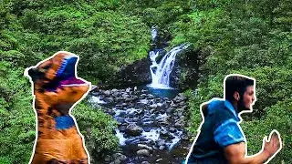 Real life Jurassic park in Hawaii!! (Hawaii Day 4)