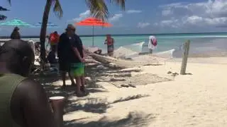 Uncle D auf den Bahamas -Castaway Cay