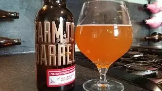 (4K) Almanac Farm To Barrel Farmers Reserve Strawberry | American Craft Beer Review