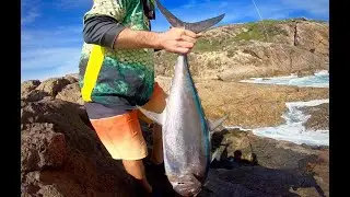 Land Based Tuna on a lure