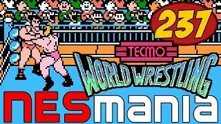237/714 Tecmo World Wrestling - NESMania