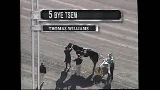 2001 Freehold Raceway BYE TSEM Thomas Williams Delvin Miller Gold Trot