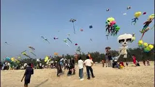 Kite festival near sea beach 