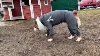 Slush combat suit