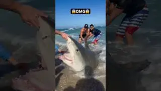 😱OMG😱 #shorts #ny #fish #beach #fishing #florida #longisland #shark #sharkfishing #newyork