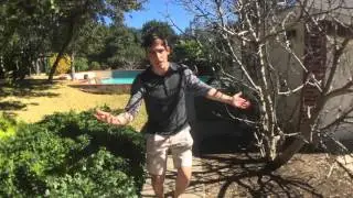 Welcome to the Creme House! (Pax South Day #2)